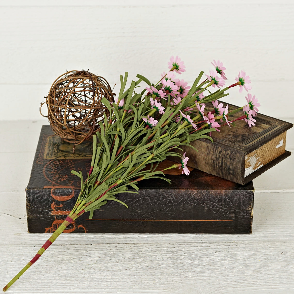 Pink Mini Mountain Daisy Bush (18")