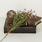 Pink Mini Mountain Daisy Bush (18")
