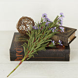 Purple Mini Mountain Daisy Bush (18")