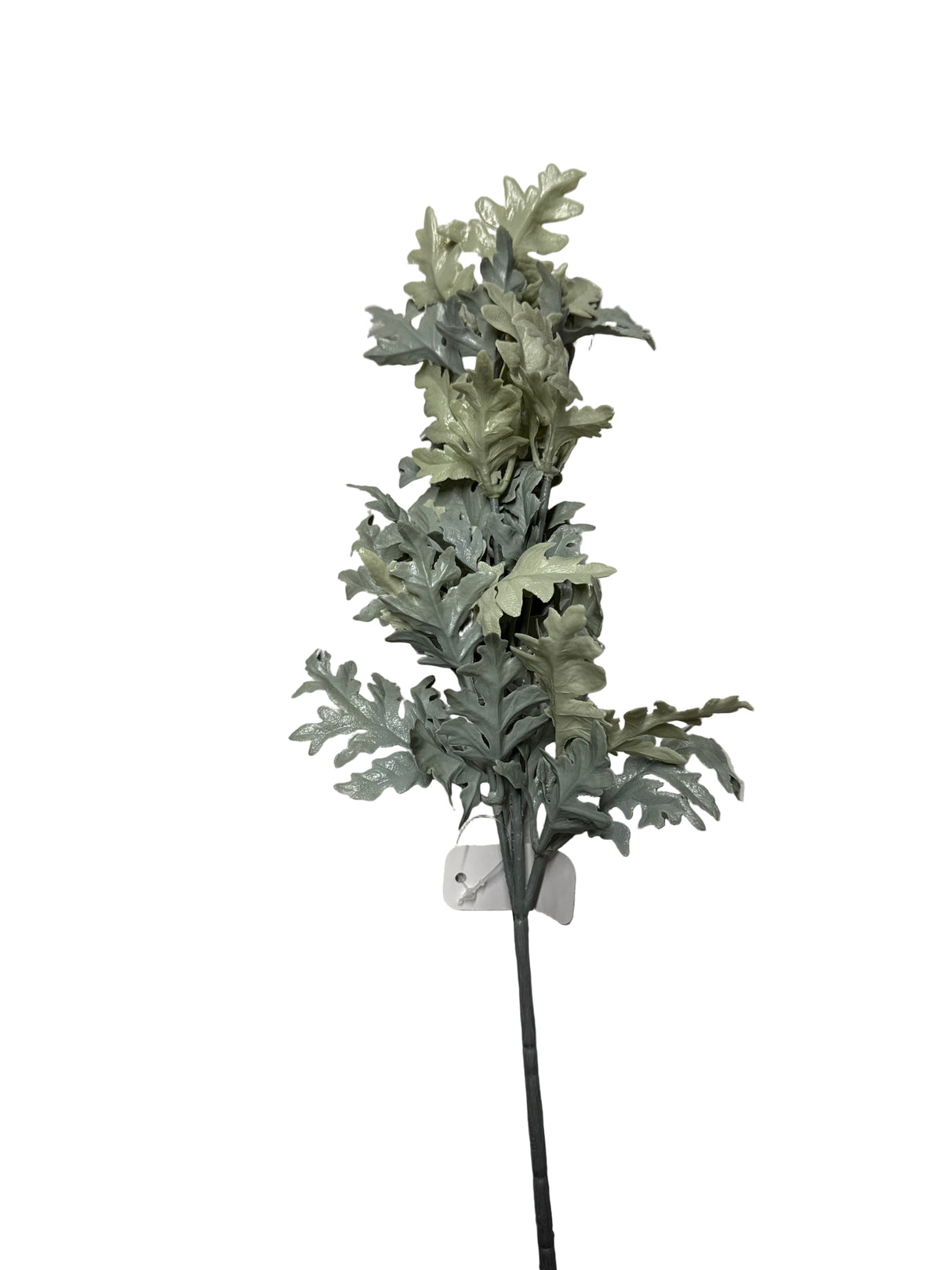 16” Dusty Miller Spray
