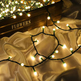 49FT 300LED 9mm Frosted Globe String Lights With Multi Function (Green Wire, Warm White)