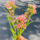 Wax Flower Spray 31” (3 branches)