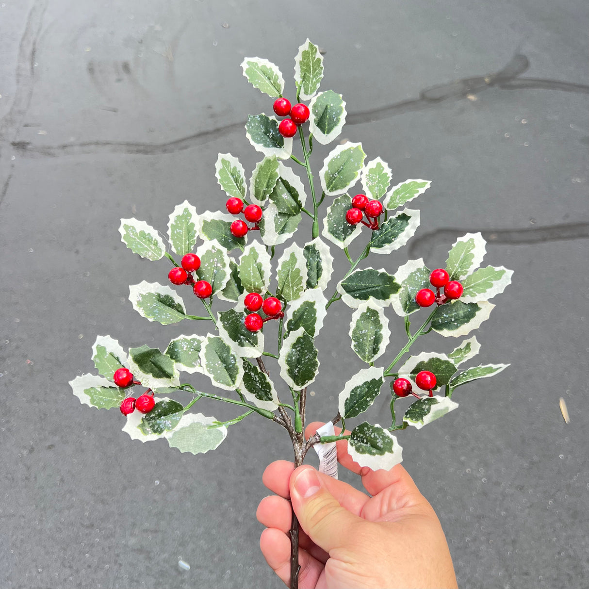 14in. Iced Holly Spray (Red Berries)