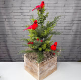Cardinal Pine Arrangement Kit