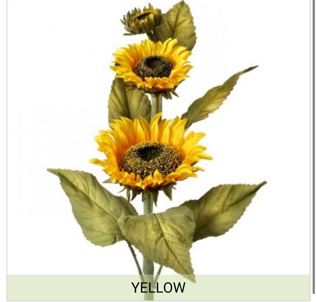 Deluxe Sunflower 22”