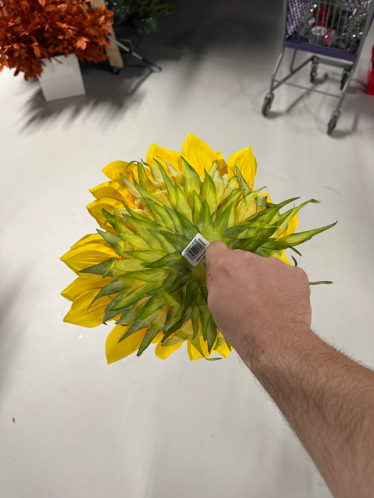 15"Dia Sunflower Head
