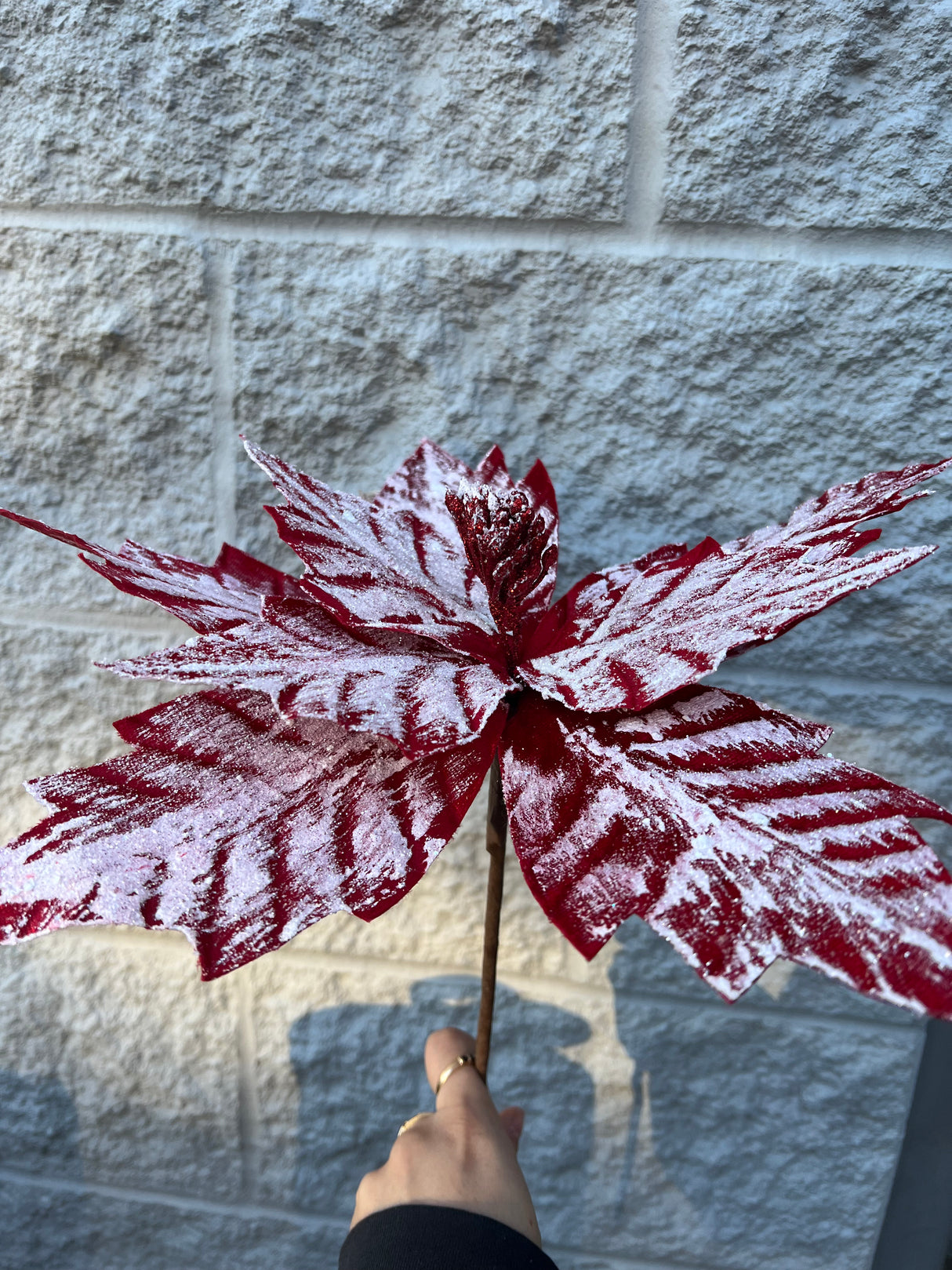 12"Dia X 18"L Poinsettia Stem