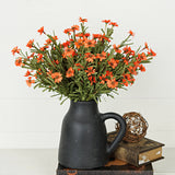 Orange Mini Mountain Daisy Bush (18")