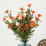 Orange Mini Mountain Daisy Bush (18")