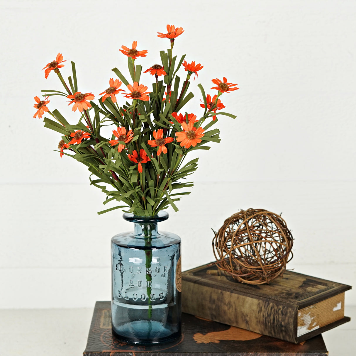 Orange Mini Mountain Daisy Bush (18")