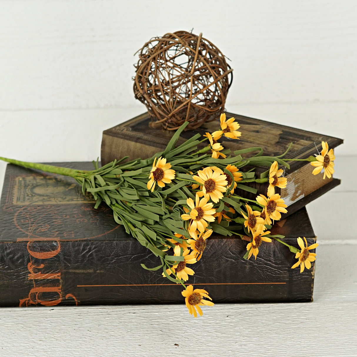 Yellow Mini Mountain Daisy Bush (18")