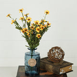 Yellow Mini Mountain Daisy Bush (18")