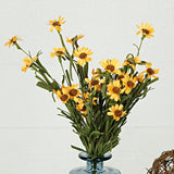 Yellow Mini Mountain Daisy Bush (18")