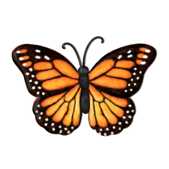 Orange Monarch Butterfly Kit