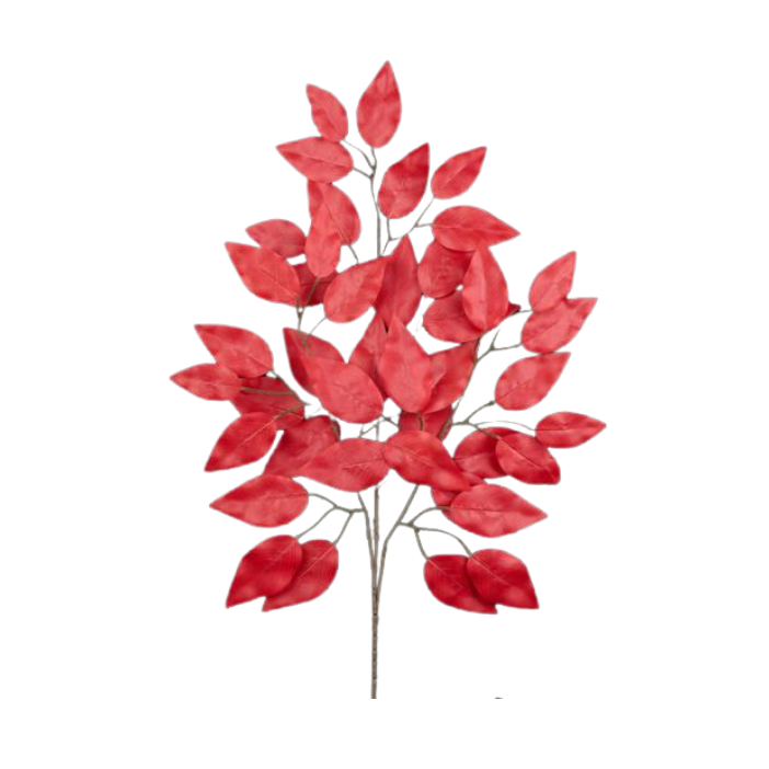 23"L Ficus Spray Red