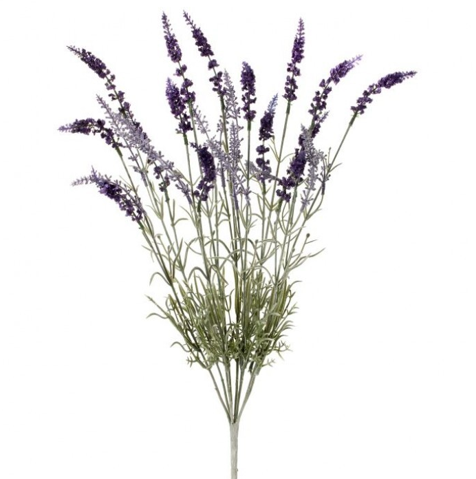22" English Lavender Bush X9