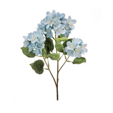 Blue & Pink Hydrangea Kit