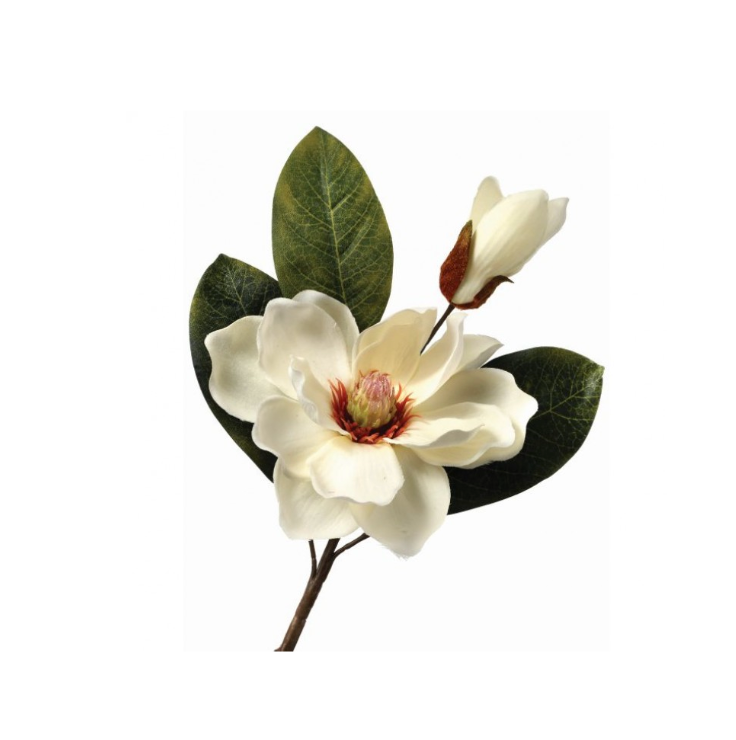 14" Magnolia & Bud Pick