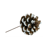 1.75" Pinecone W/7"Wire (White Tipped)