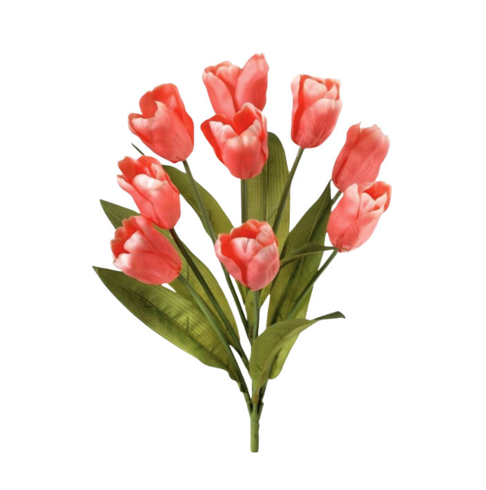 20" Tulip Bush X 9