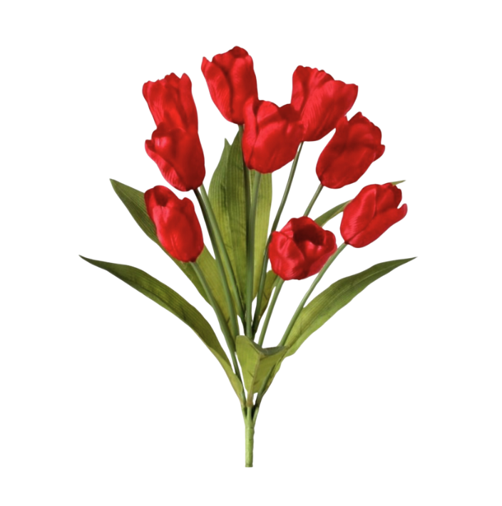 20" Tulip Bush X 9