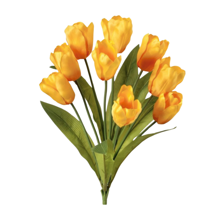 20" Tulip Bush X 9