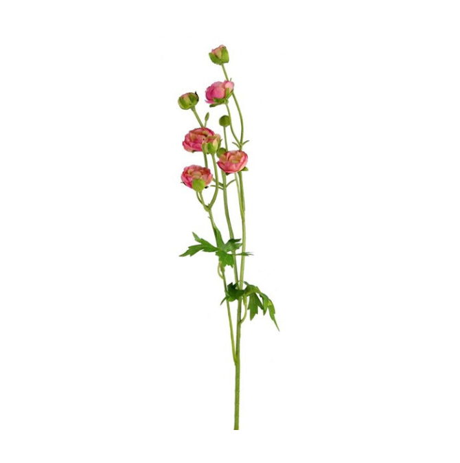 21.5"L Mini Ranunculus Spray (Pink)