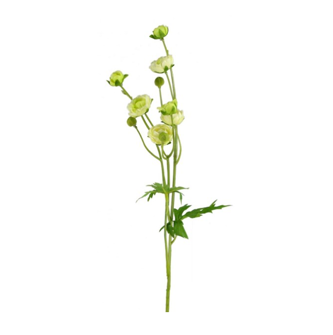 21.5"L Mini Ranunculus Spray