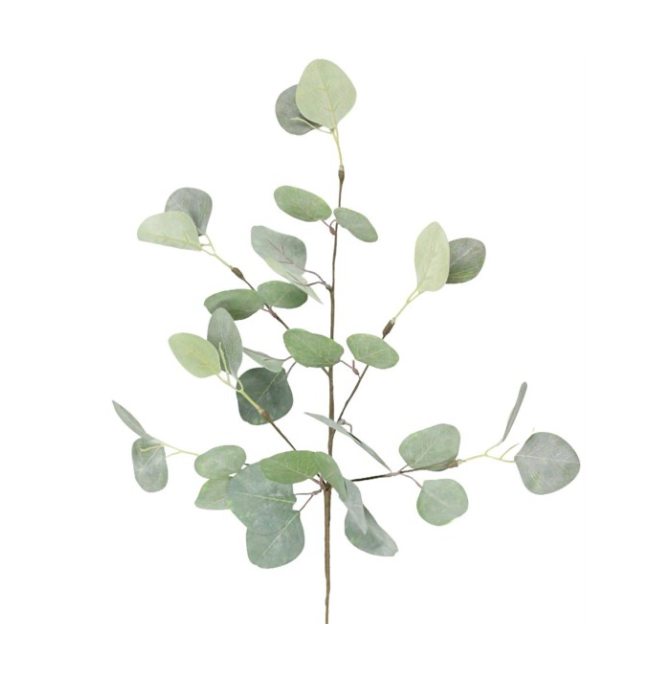 24"L Eucalyptus Spray