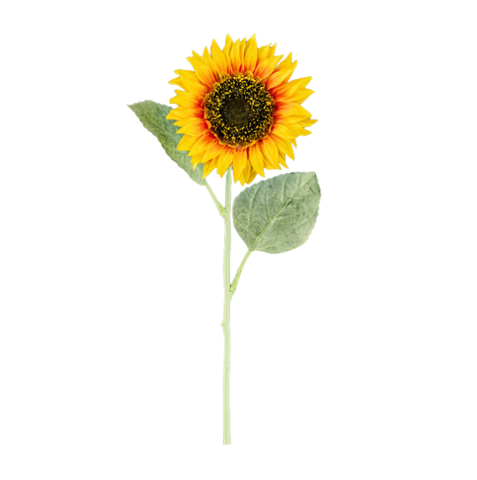 25"L x 4.25"Dia Sunflower Stem