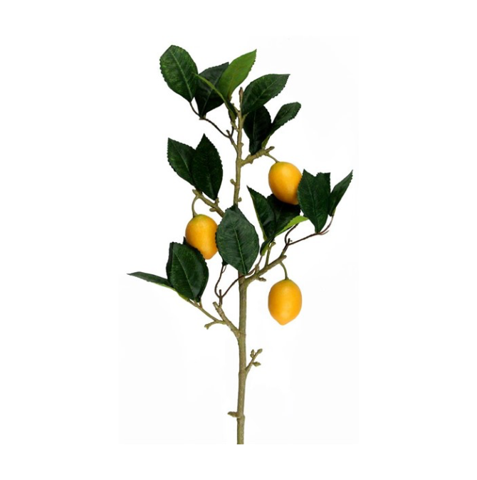 26.75"L Lemon Branch