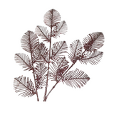 Pink Rose Gold Magnolia Wreath Kit