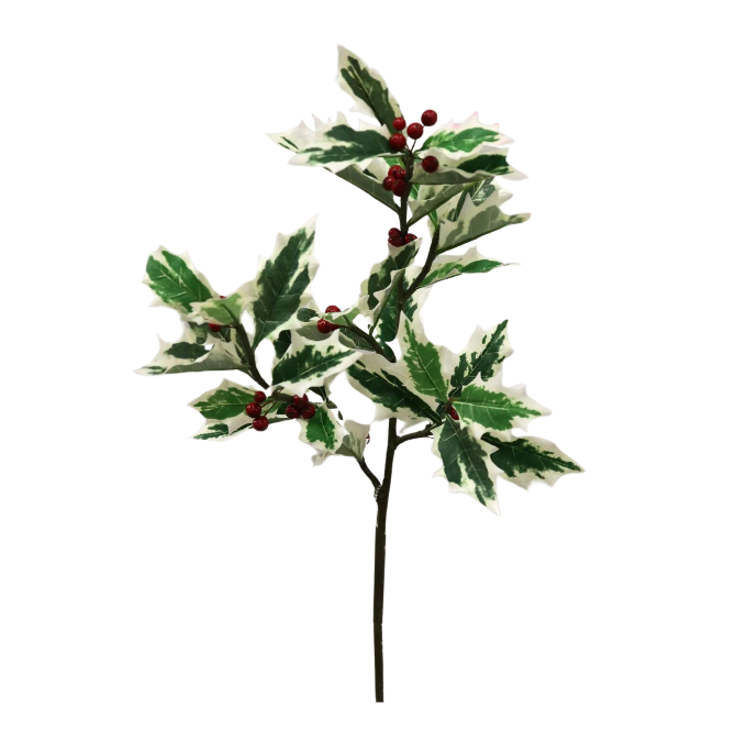 34in. Variegated Holly/Berry Spray