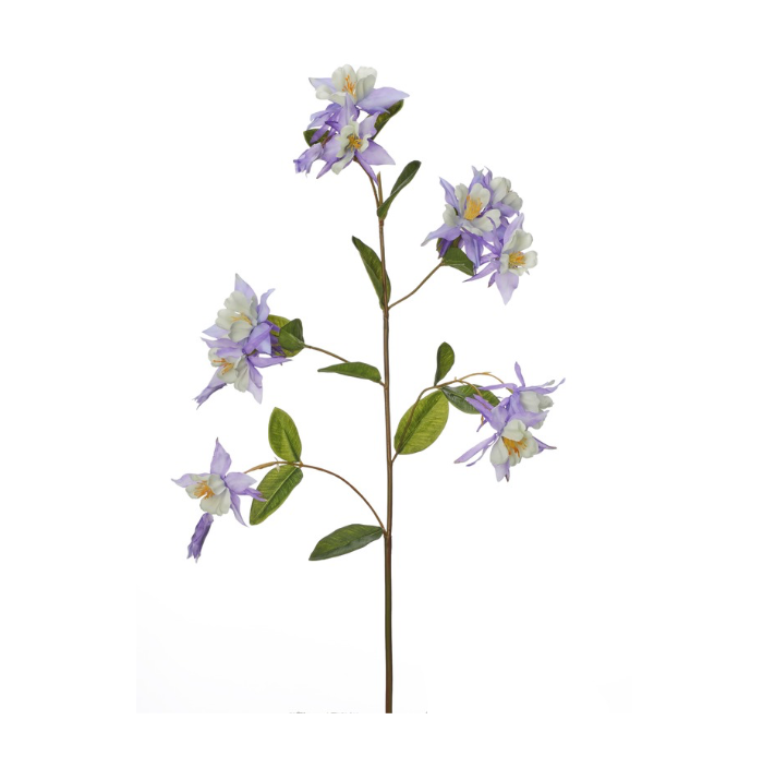 36" Columbine Spray