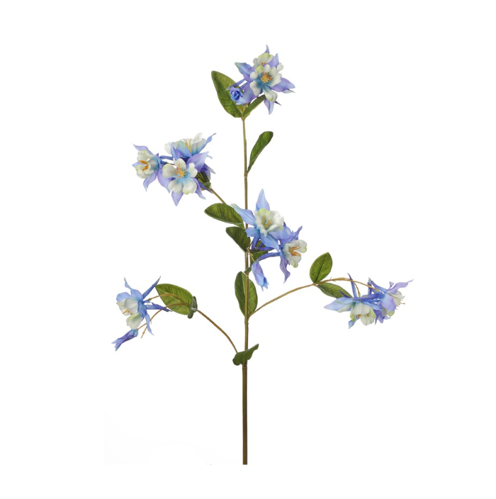 36" Columbine Spray