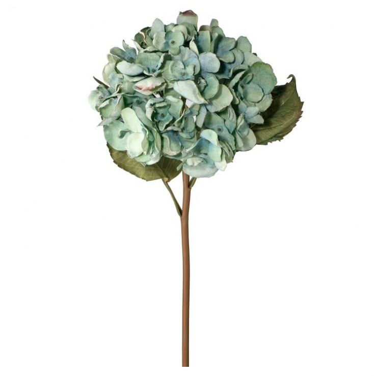 22" Just Dried Grand Hydrangea Stem