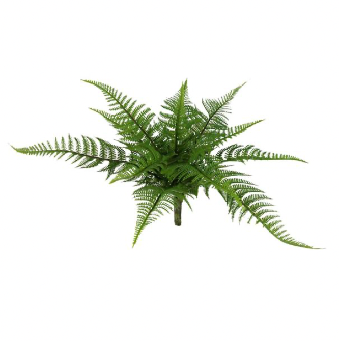 14"L Wild Fern Bush