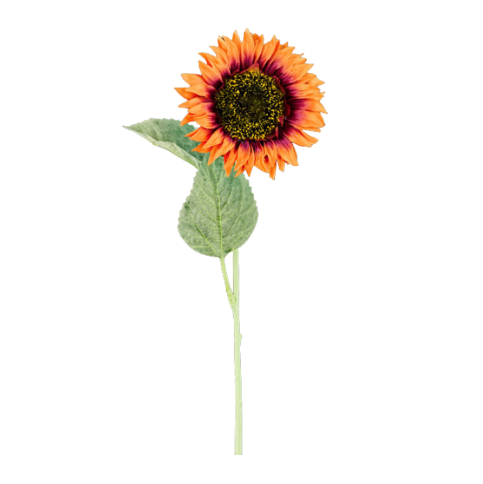 25"L x 4.25"Dia Sunflower Stem