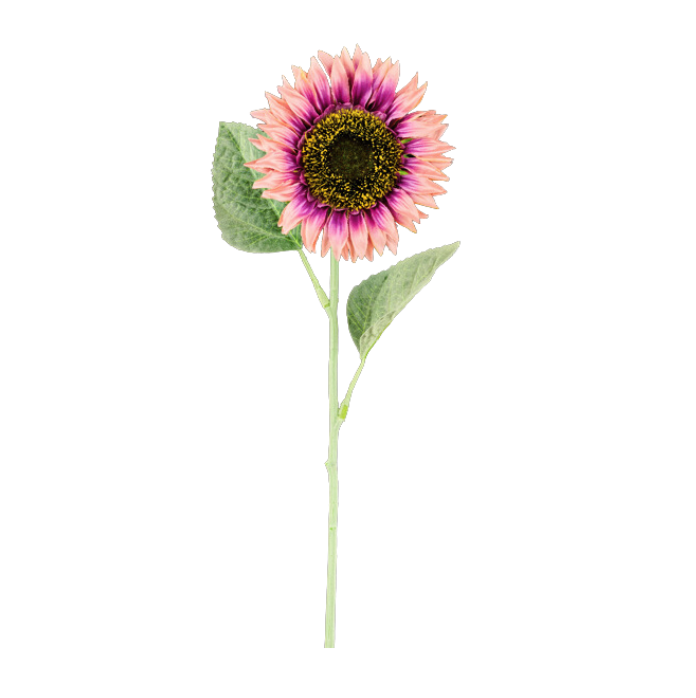 25"L x 4.25"Dia Sunflower Stem