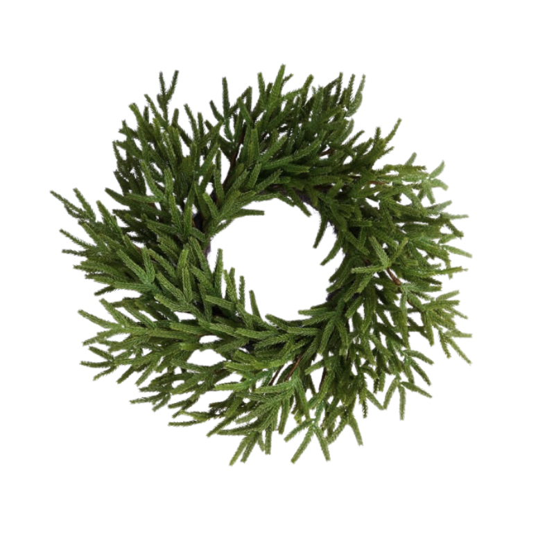 24"Dia Norfolk Island Pine Wreath