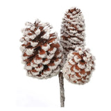 Wreath Community Norfolk Pinecone Wreath Kit