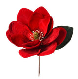 Red Magnolia & Holly Wreath Kit