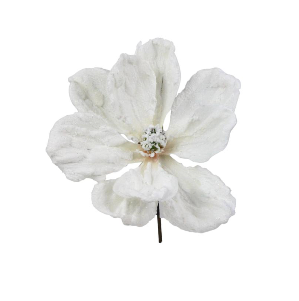 Snowy Magnolia Wreath Kit