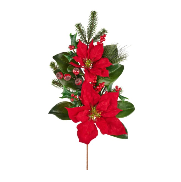 28"L Poinsettia/Magnolia Leaf Spray