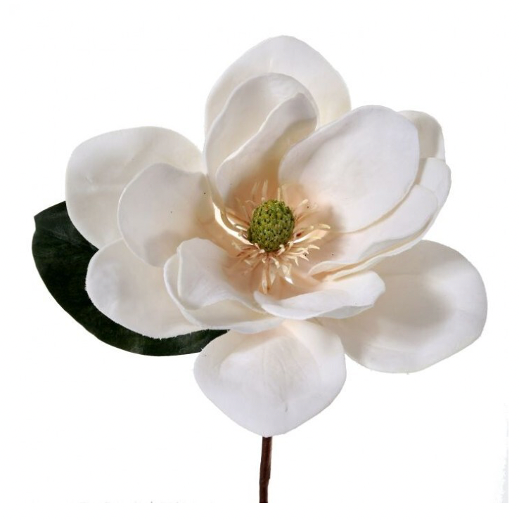 Frosted White Magnolia Wreath Kit