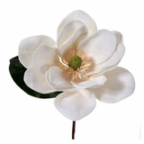 Frosted White Magnolia Wreath Kit