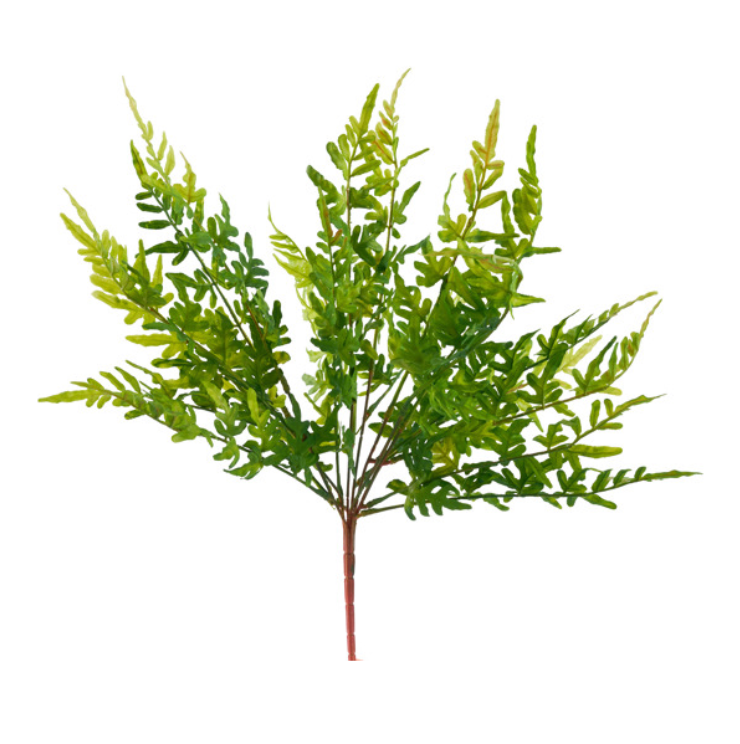 19"L Brake Fern Leaf Bush