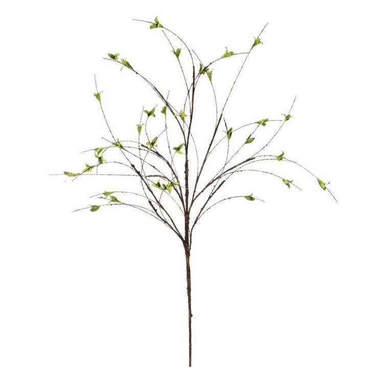 38" Greening Willow Twig Spray