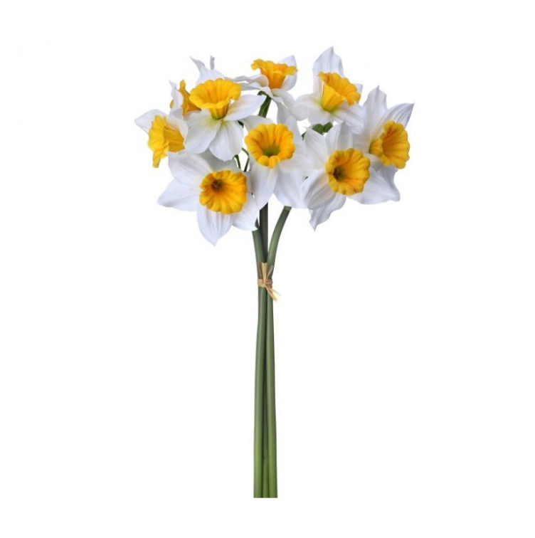 15" Field Daffodil Bundle X3