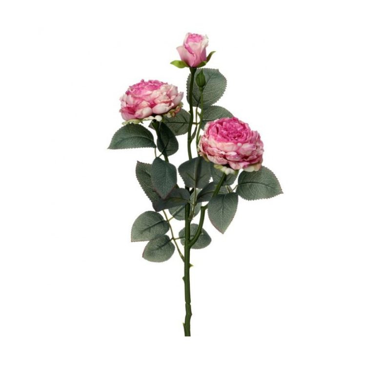 21" Vintage "Freeze Dry" Garden Rose X3 (Pink)